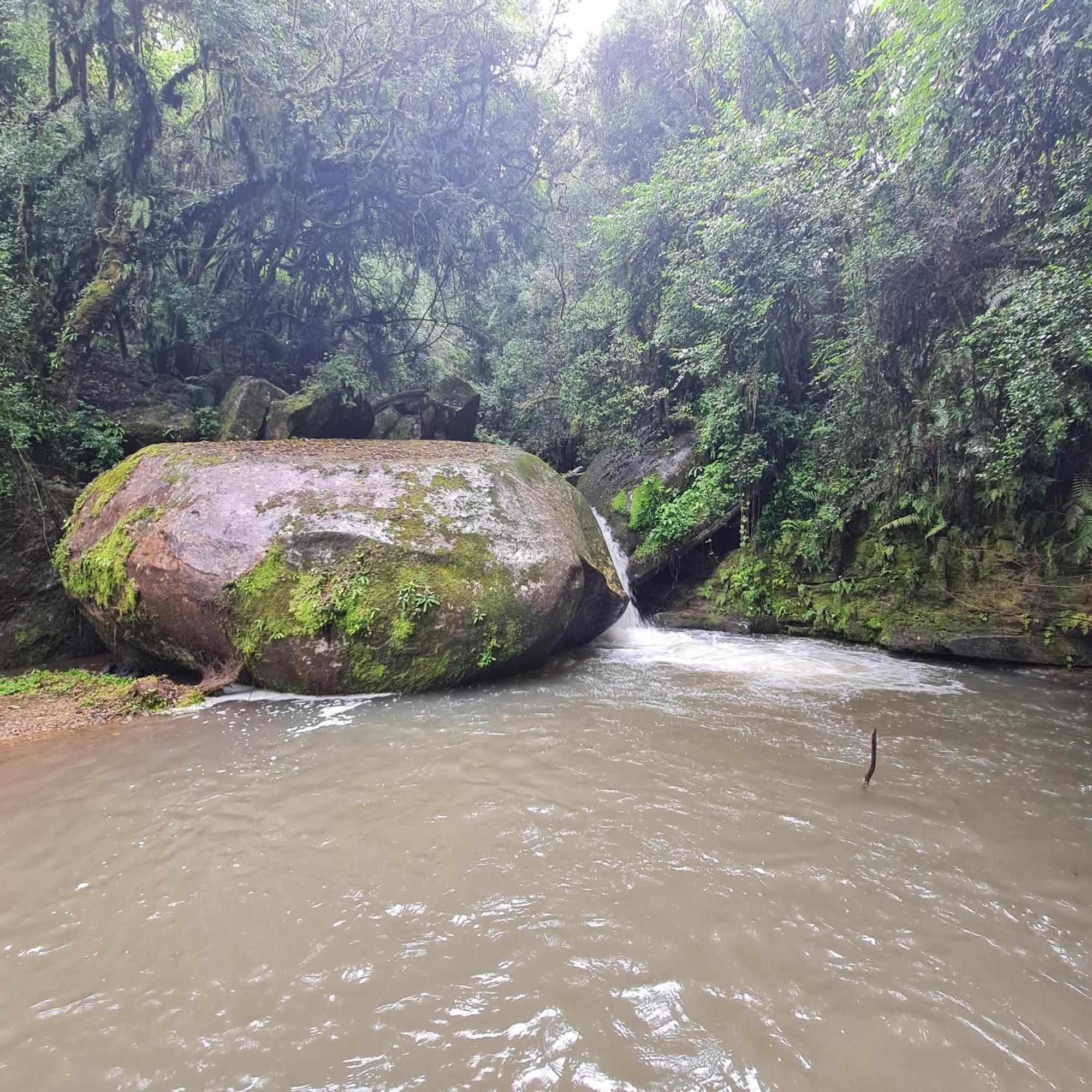 Kukummi Lodge - Formerly Mackaya Bella Country Lodge Champagne Valley المظهر الخارجي الصورة